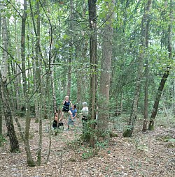 Activité créative en pleine nature basée sur l'entraide